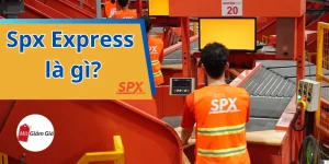 Spx express là gì