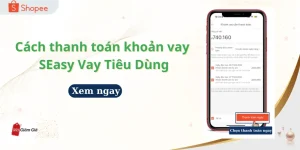 thanh toán các khoản vay SEasy Vay Tiêu Dùng