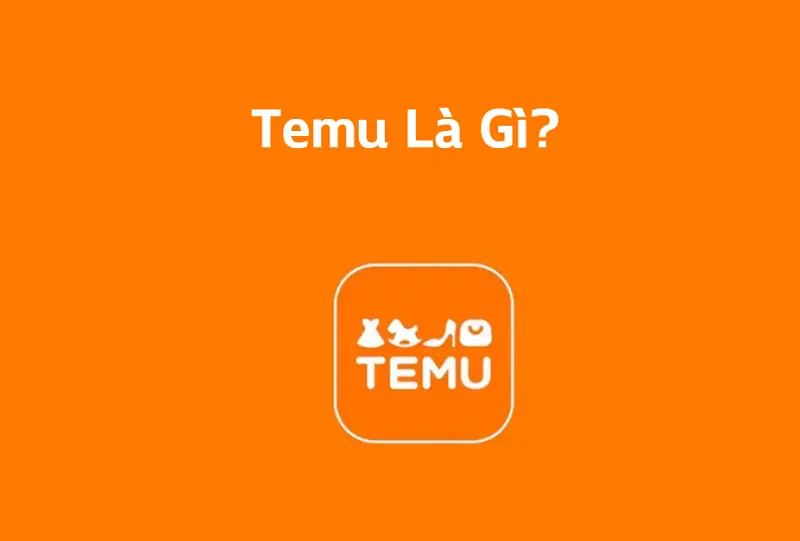 Temu 1