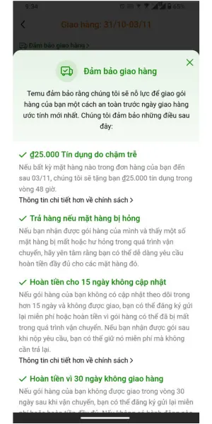 đảm bảo giao hàng temu